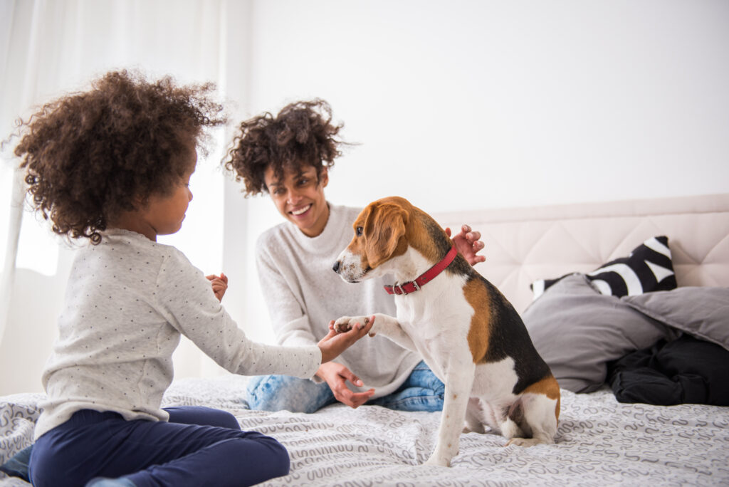 Young cute girl playing with her dog.